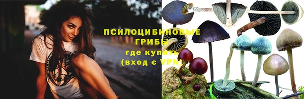 ГАЛЛЮЦИНОГЕННЫЕ ГРИБЫ Верхний Тагил