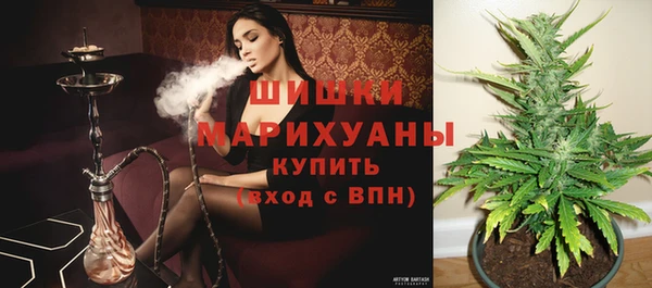 мдпв Волосово