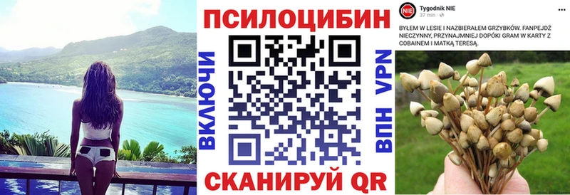 Псилоцибиновые грибы прущие грибы  OMG tor  Верхний Тагил 