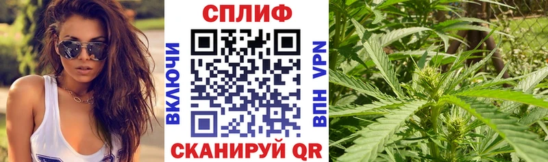 цена наркотик  Верхний Тагил  Конопля OG Kush 